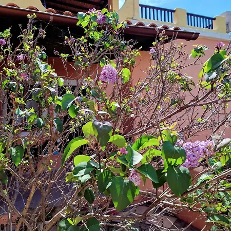 Casa Corallo Holiday home Santa Margherita di Pula